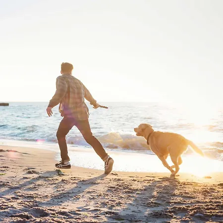 Rundblick - Stilvolle 5-sterne-ferienwohnung Mit Blick Auf Den Bodden